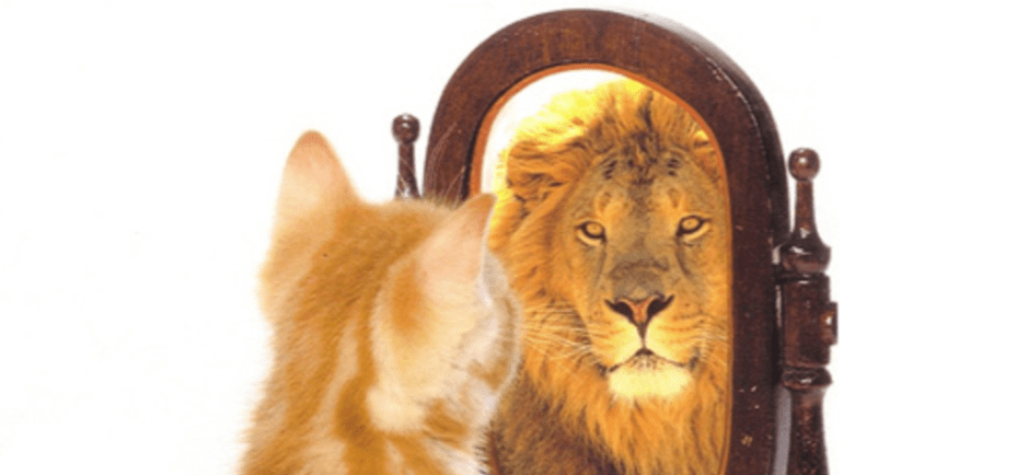 Mały kotek patrzy w lustro, w którym widzi dużego, dorosłego lwa.